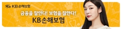KB손해보험