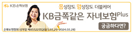 KB손해보험